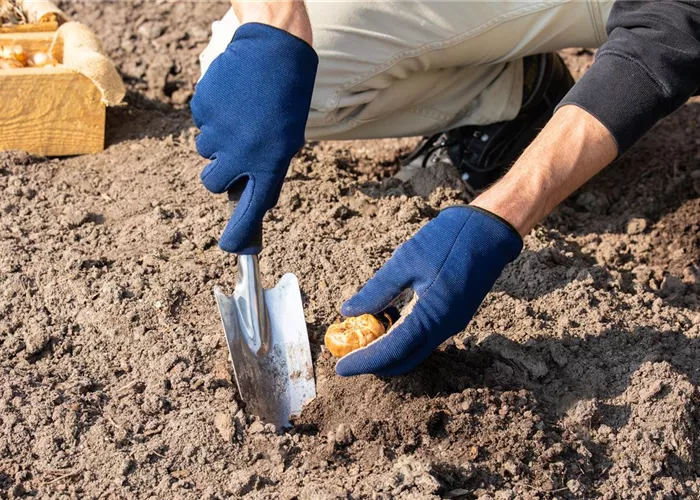 1A Garten Weber Ihr Gartencenter aus Ebersberg