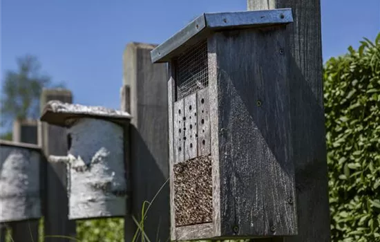 Ein Insektenhotel im Garten: Urlaub und Erholung für Biene und Co.