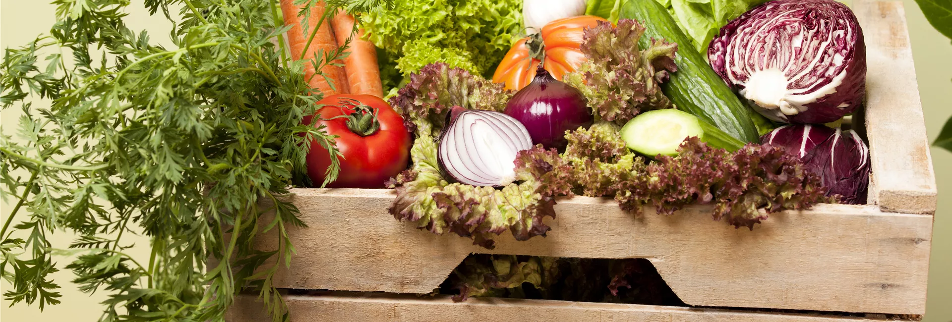 1A Garten Weber Ihr Gartencenter aus Ebersberg