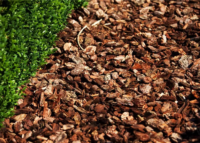 Der Mulch macht’s