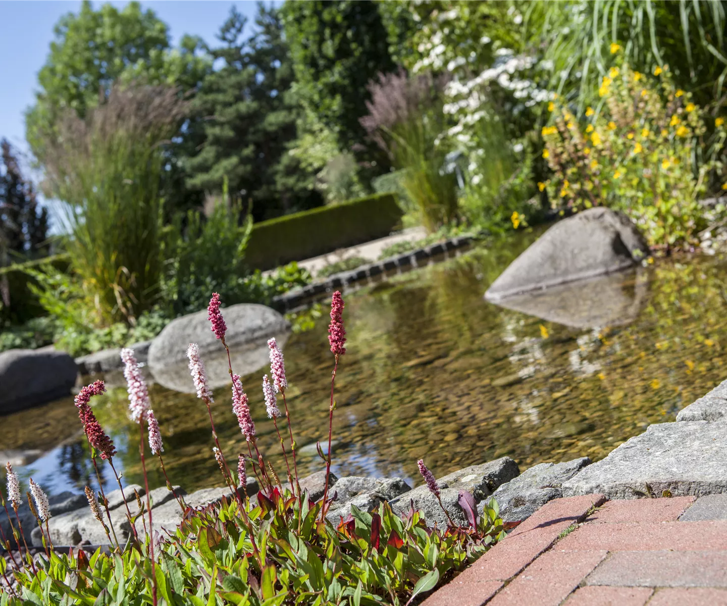 Der Wassergarten - Harmonie und Bewegung zugleich