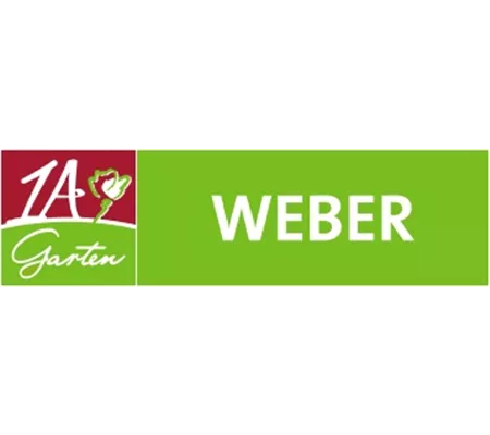 Erde und Substrat – die Basis für ein gesundes Wachstum