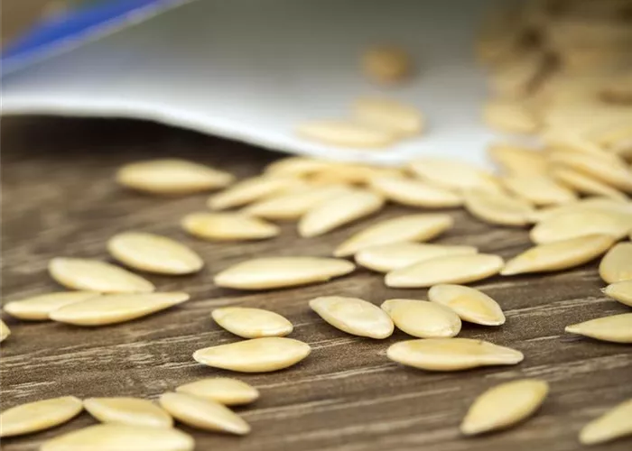 Minigewächshauser herstellen