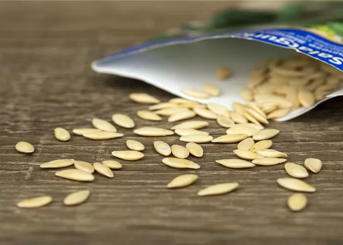 Inventur zum Frühlingsanfang: Sämereien überprüfen