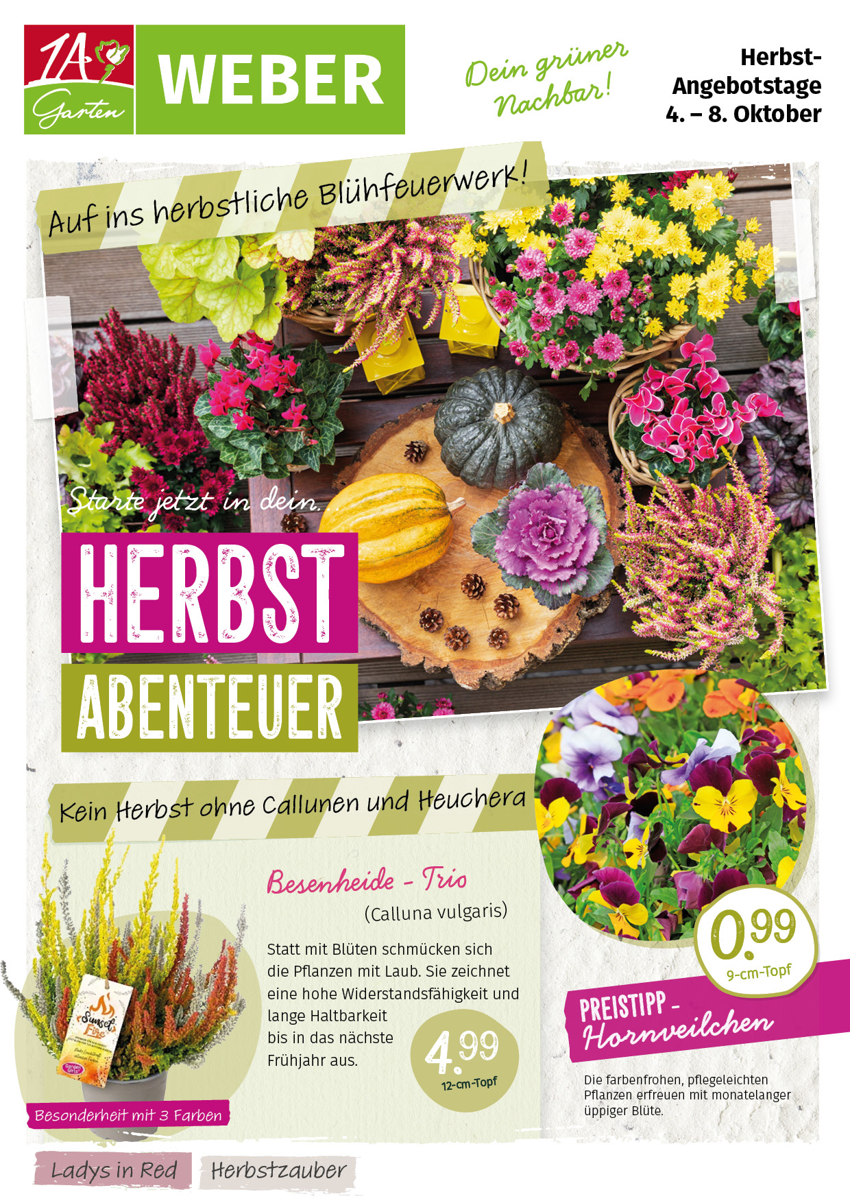 2025_Beilage_Weber_Herbst.jpg