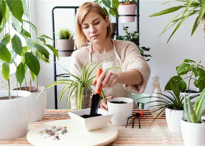 Pflegetipp des Monats