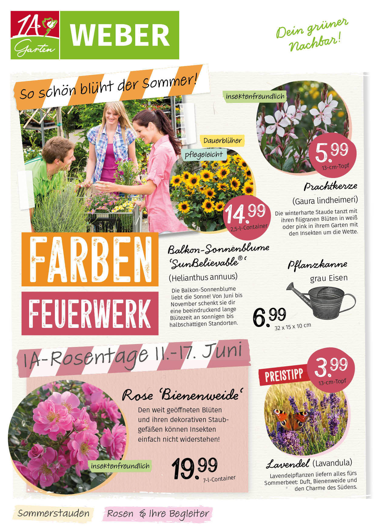 2026_Beilage_Sommer_Weber.jpg