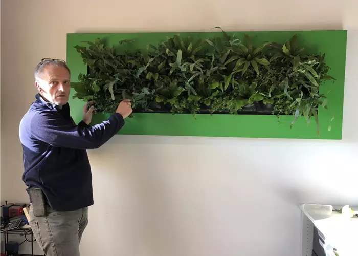 1A_Garten_Innenraumbegruenung_3.jpg