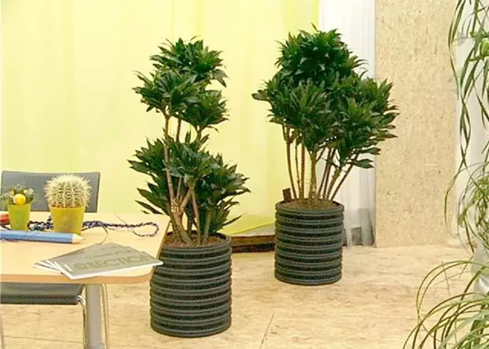 1A_Garten_Innenraumbegruenung_18.jpg